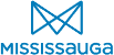 Web Design for Mississauga